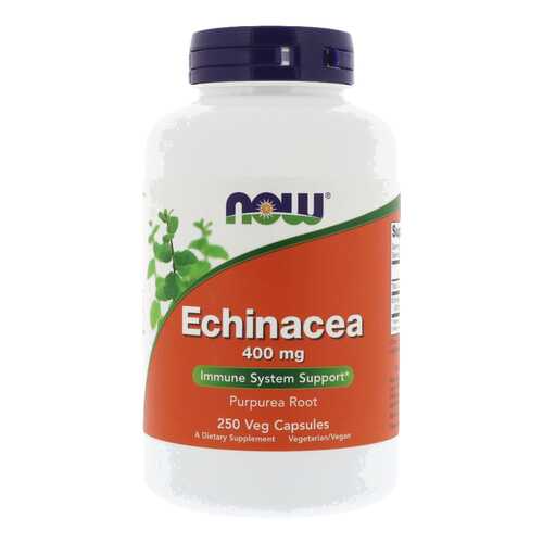 Добавка для иммунитета NOW Echinacea Root 250 капс. натуральный в Аптеки Столички